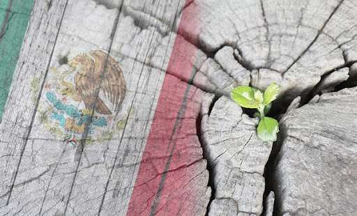 Principales retos que enfrentan las PyMes en México 2024